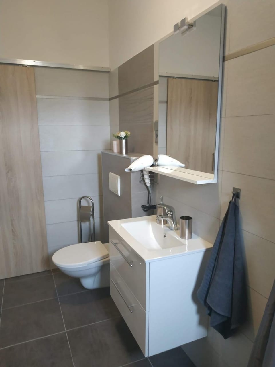 All you need in Decin III-7 bed ap- cycling trail Apartment in Sächsische Schweiz-Osterzgebirge
