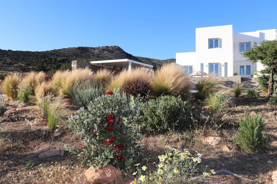 Property building, Natural landscape, Garden, Garden view