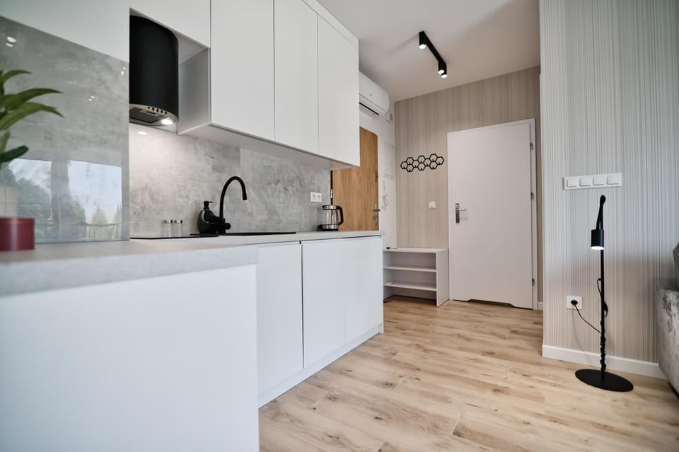 Kitchen or kitchenette, dishwasher