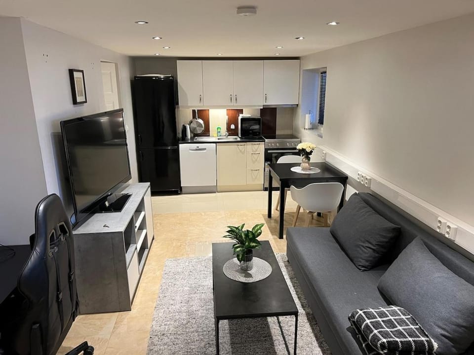 Kitchen or kitchenette, Living room, Seating area, Dining area, stove