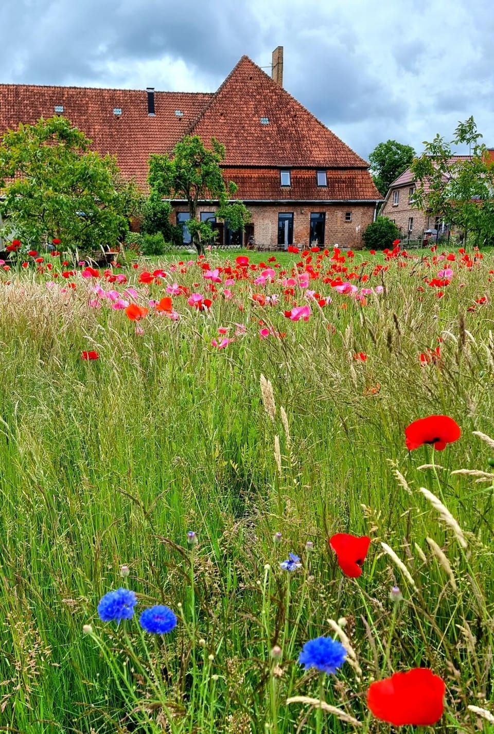 Natural landscape, Garden view