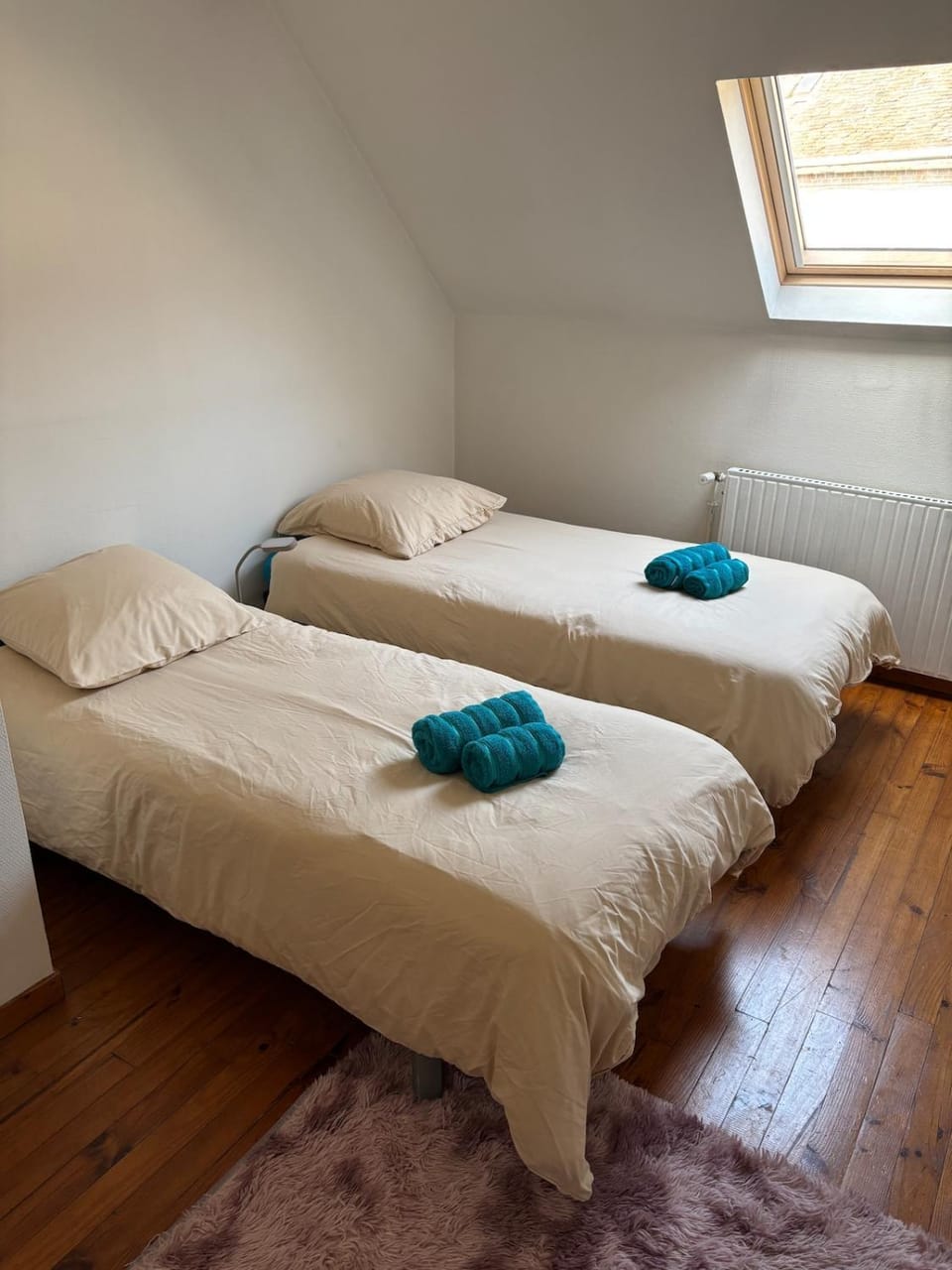 Appartement cosy en plein coeur de Montargis Apartment in Centre-Val de Loire