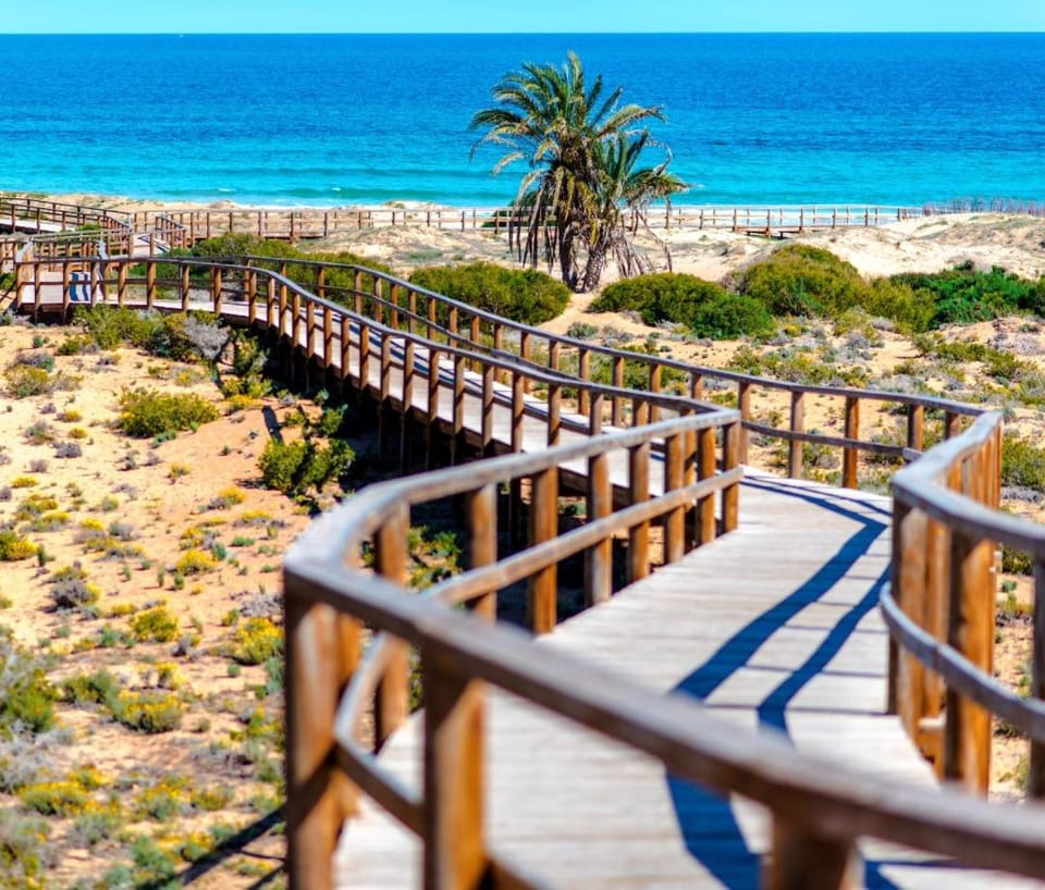 The Privilege - Seaviews, relax and remoteworking Apartment in Alacantí