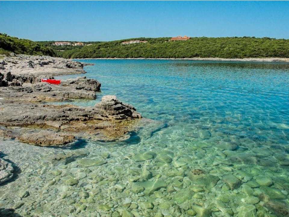 Willow apartment private pool Apartment in Istria County