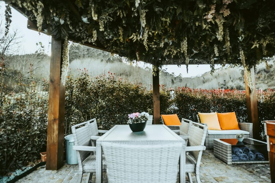 Natural landscape, Garden, Seating area, Garden view