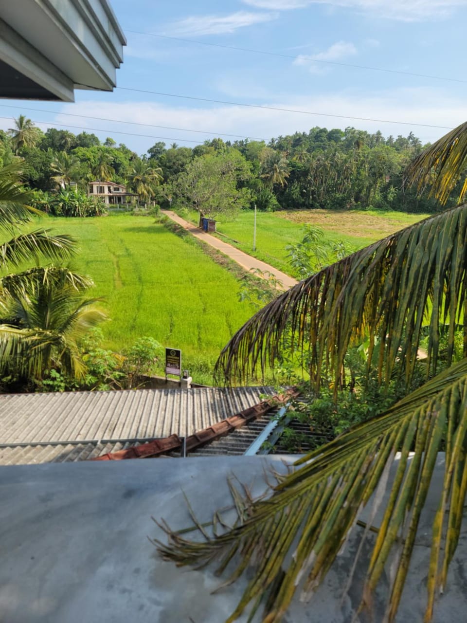 View (from property/room)