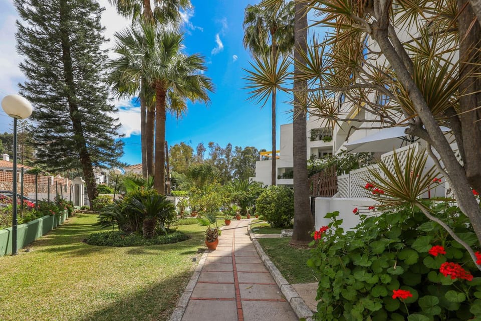 Patio, Garden, Garden view