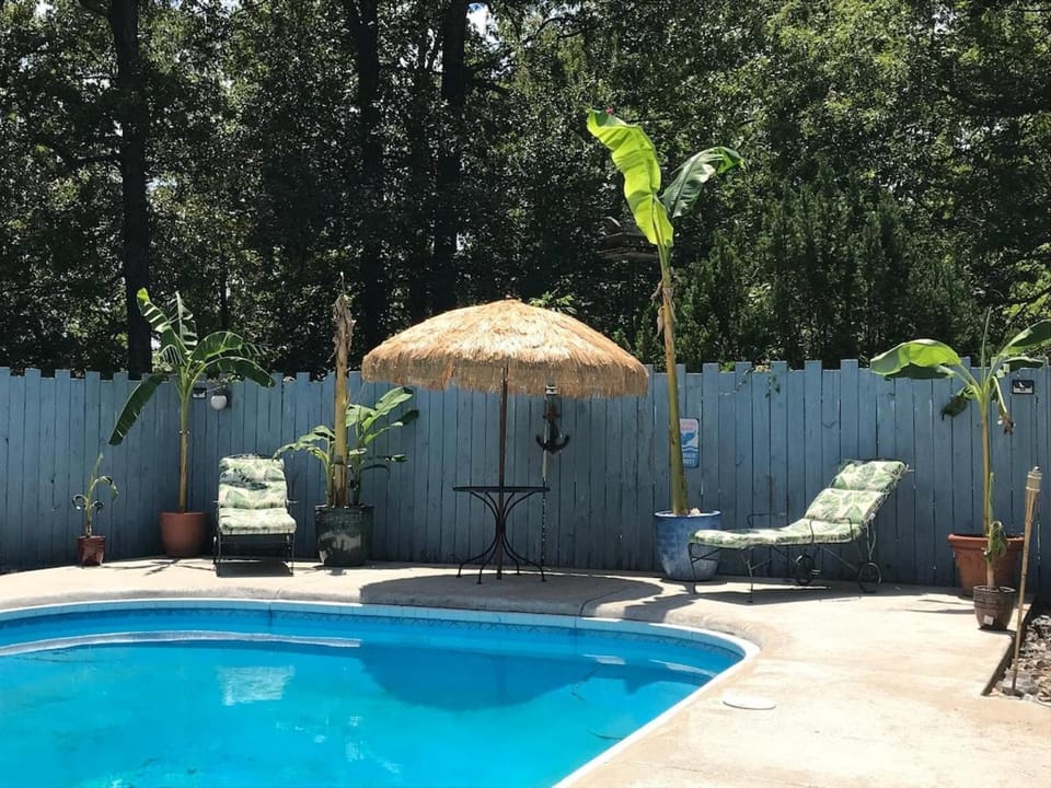 Day, Pool view, sunbed