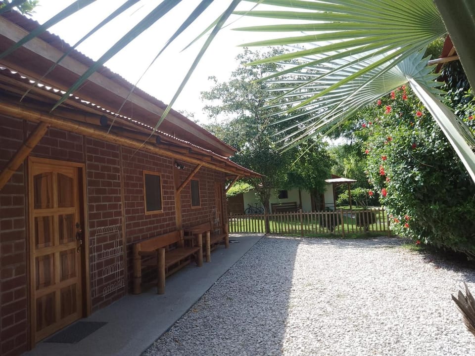 Garden view
