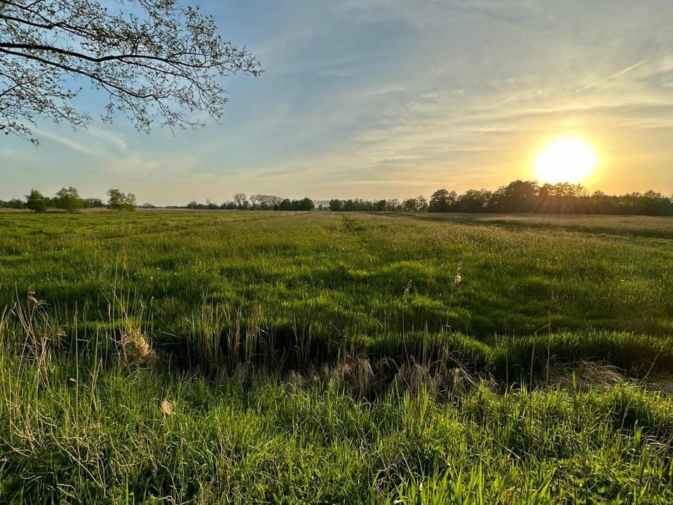 Natural landscape, Garden view