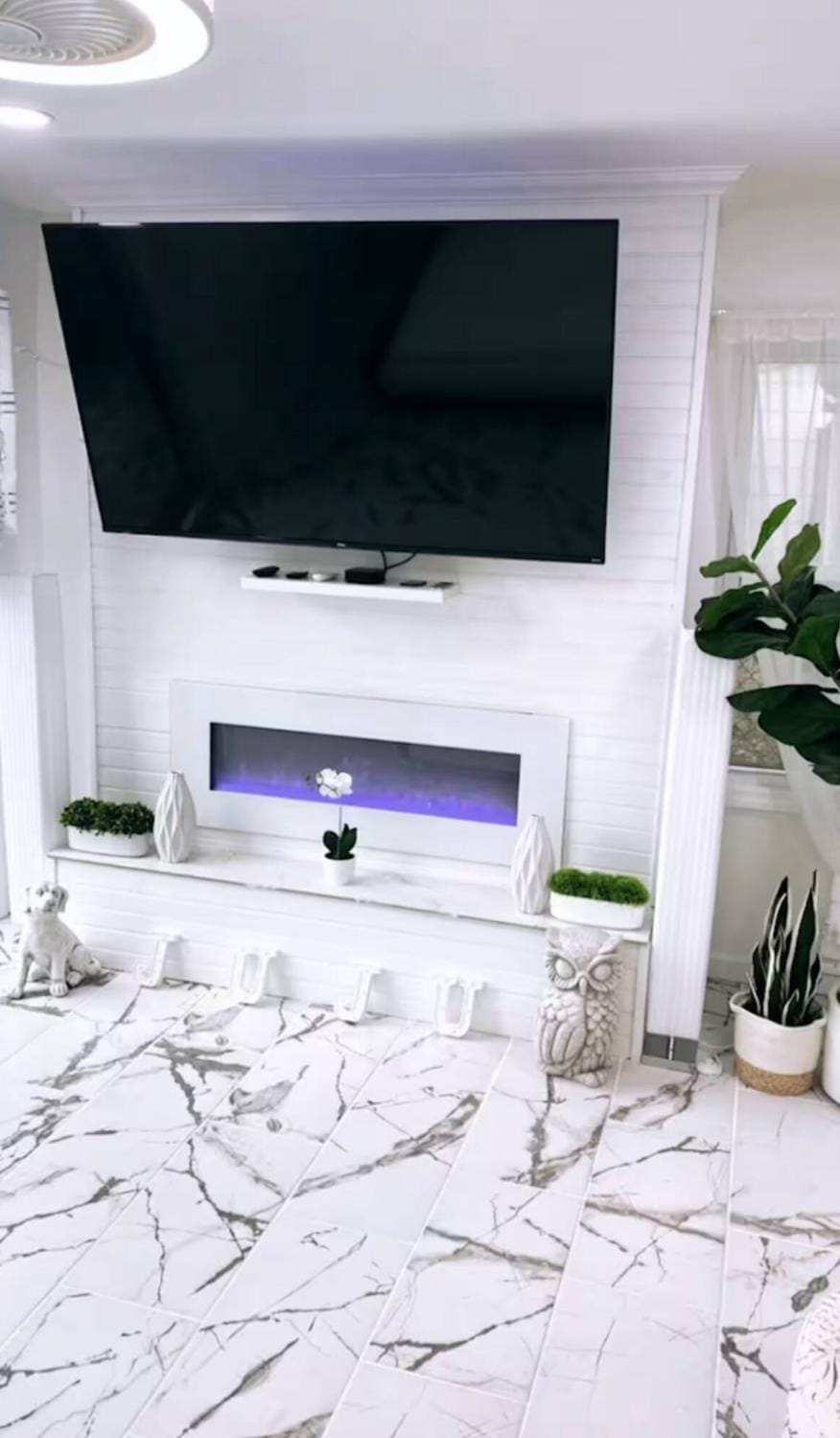 TV and multimedia