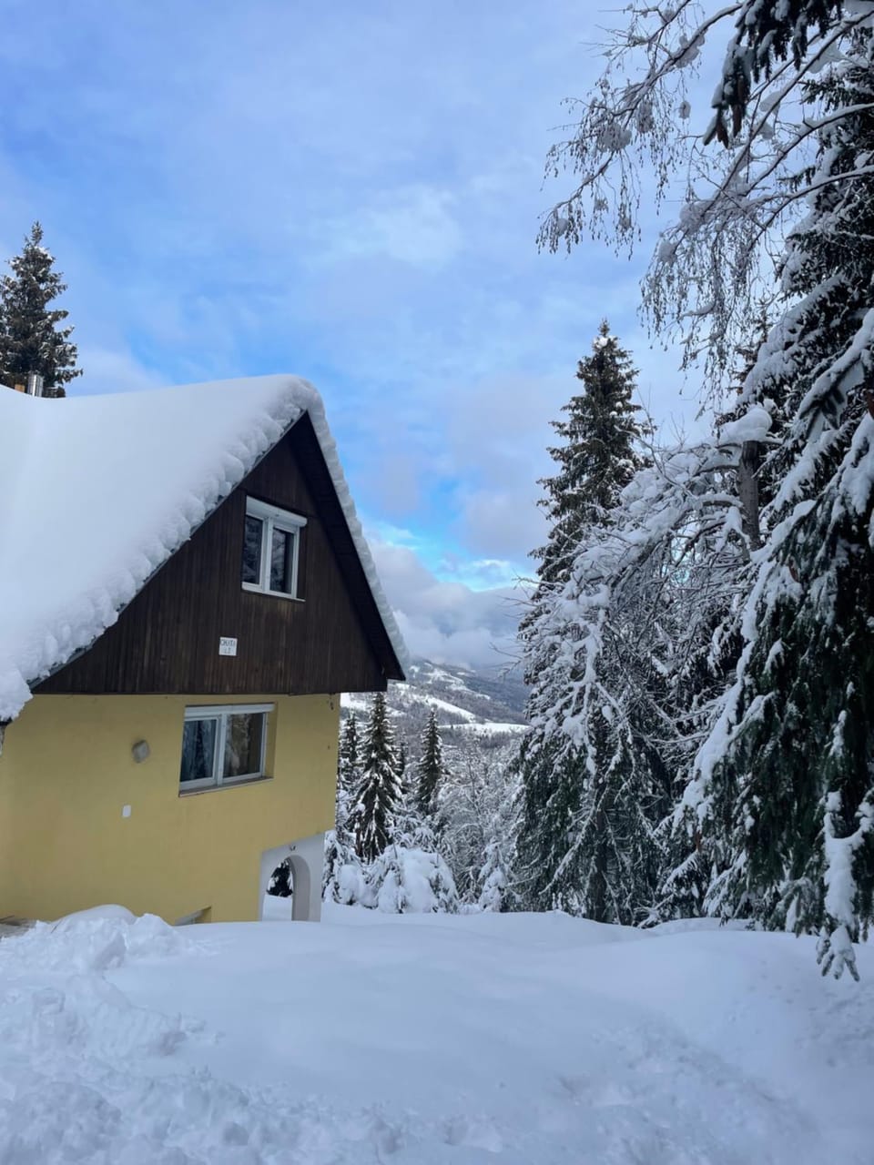Kokava Línia chata 2 Chalet in Slovakia