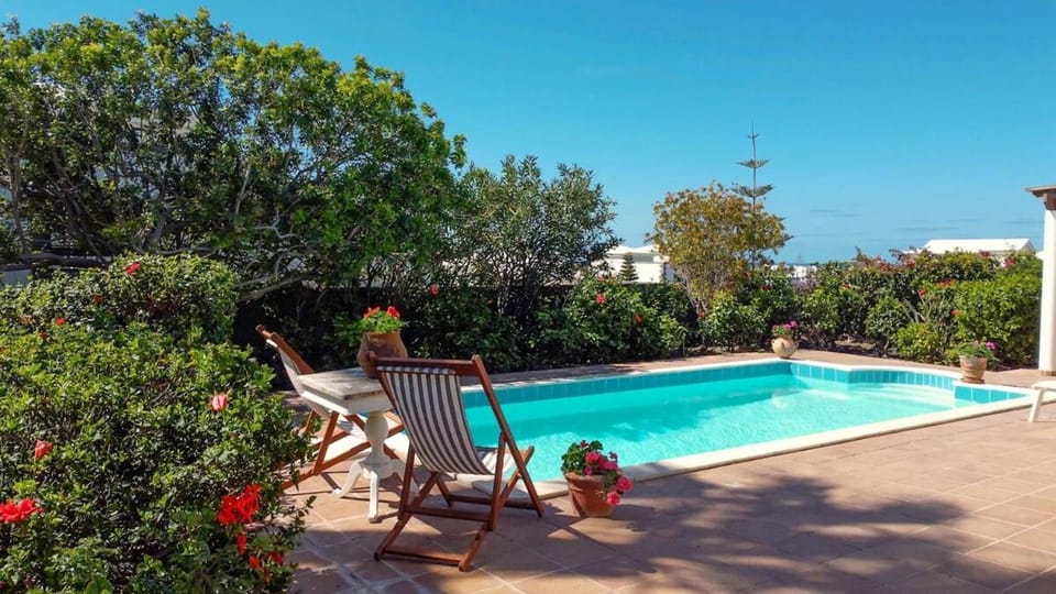 Garden, Garden view, Pool view, Swimming pool, sunbed