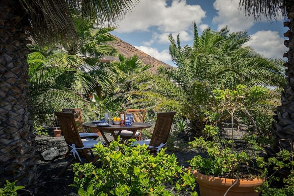 Natural landscape, Garden, Garden view, Mountain view