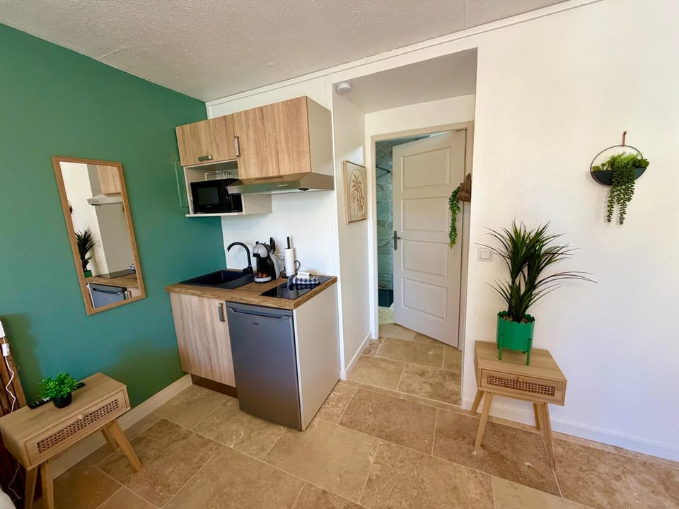 Les Appartements du Mas - Studio Amazonite Apartment in Aigues-Mortes