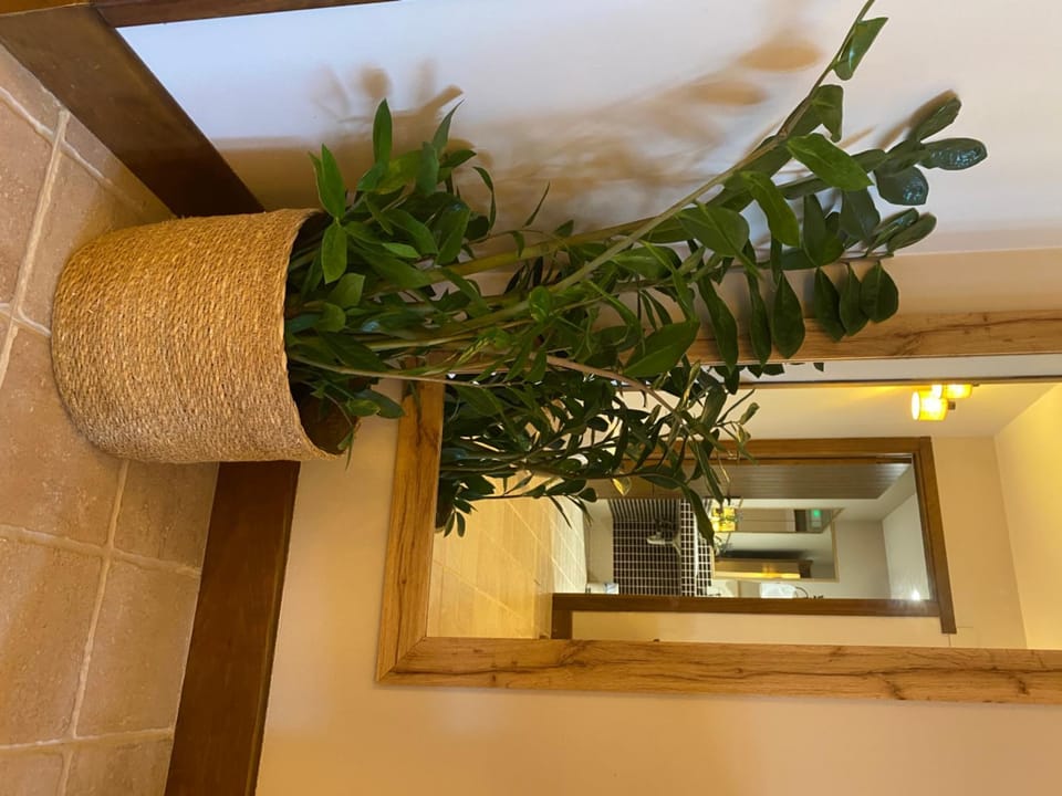 casa rural larre aundi Country House in Basque Country