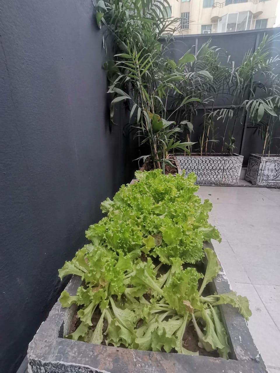 Verdant vista Apartment in Islamabad Capital Territory