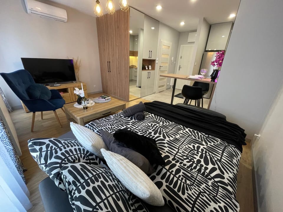 Bed, Kitchen or kitchenette, Living room, Seating area, Dining area, Bedroom, air conditioner