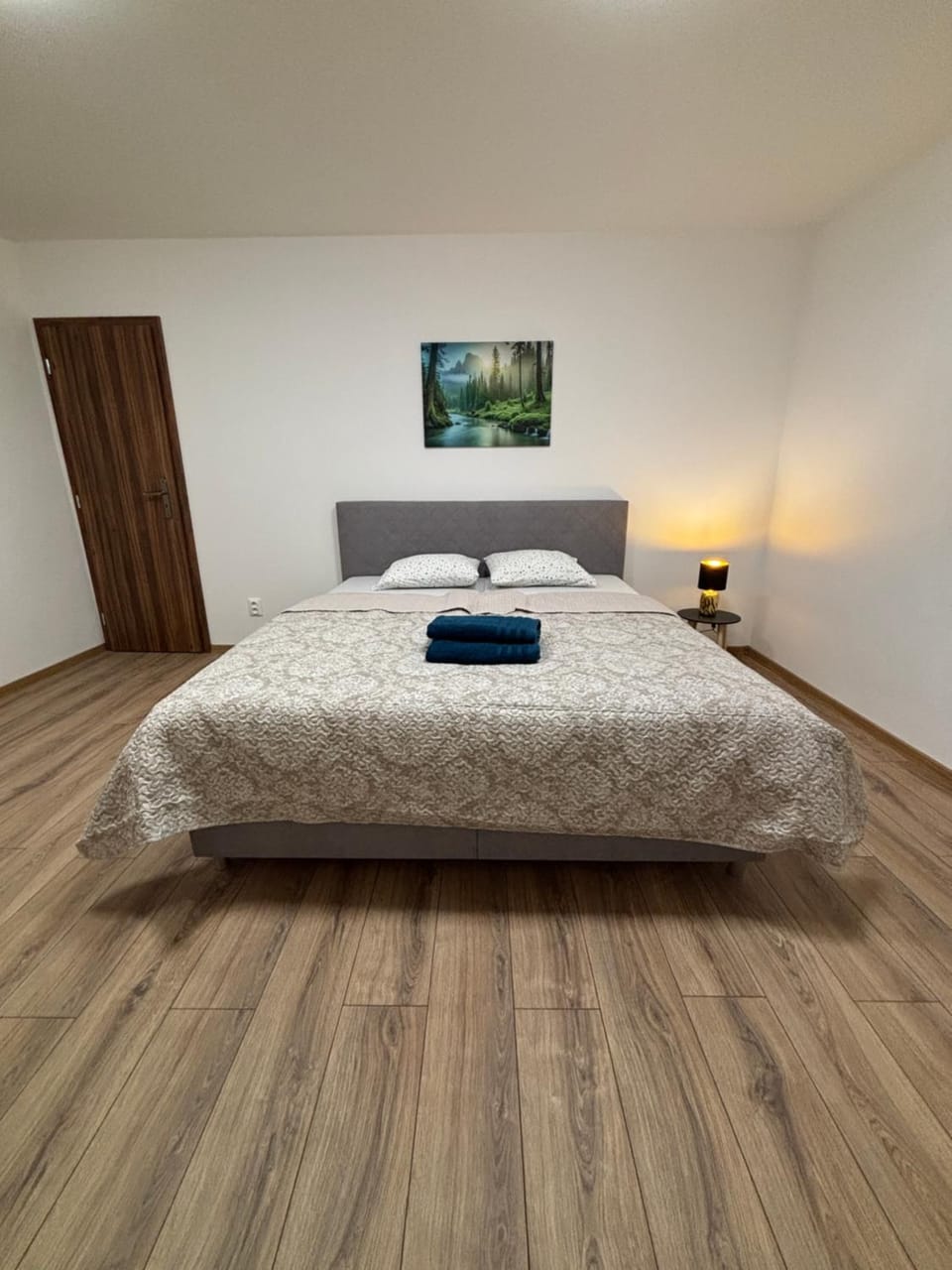 Veľký Rodinný apartmán v srdci mesta Apartment in Slovakia