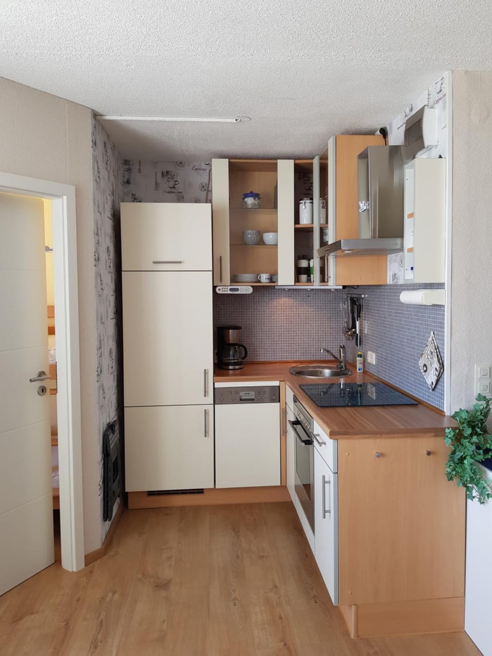 Kitchen or kitchenette, dishwasher, oven, stove