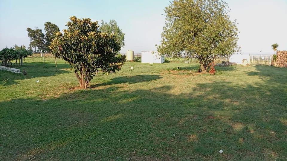 Day, Natural landscape, Garden, Garden view
