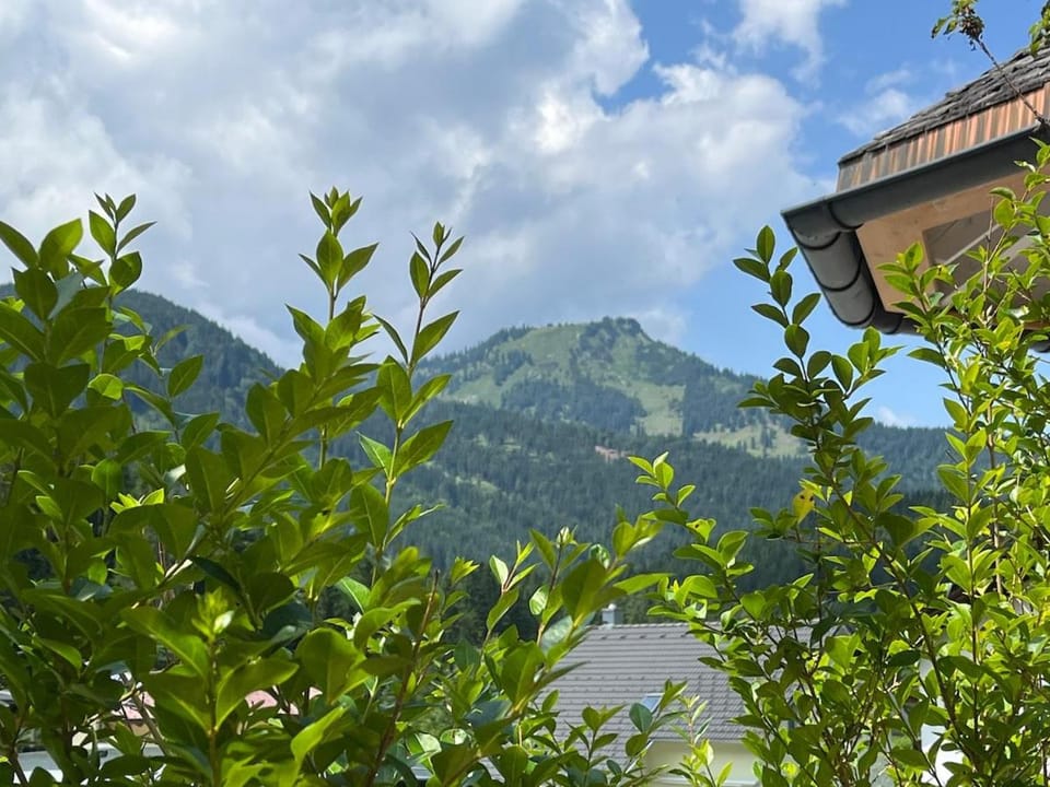 Cozy vacation apartment in Achensee, Tirol Austria Apartment in Tyrol