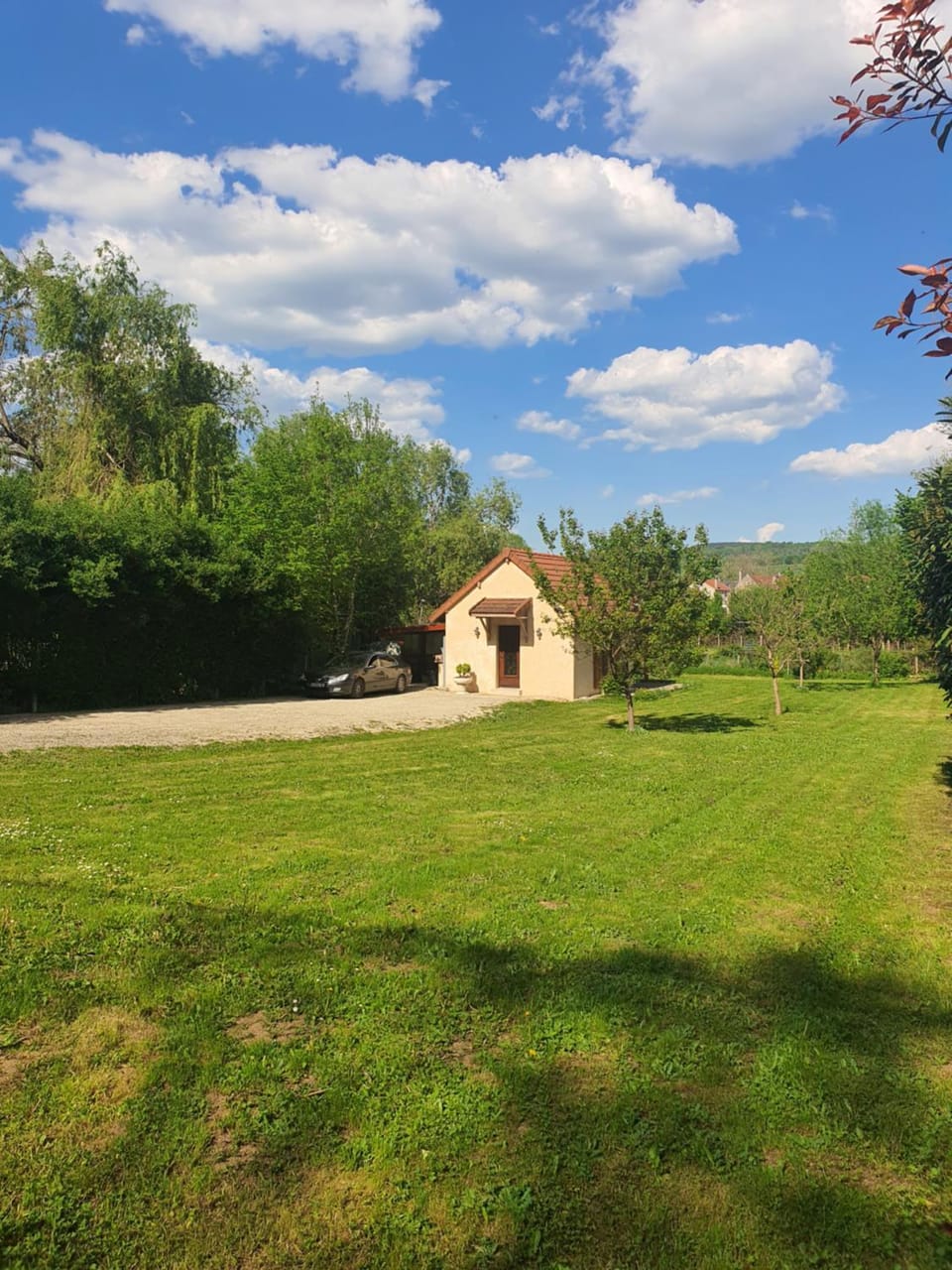 Garden view
