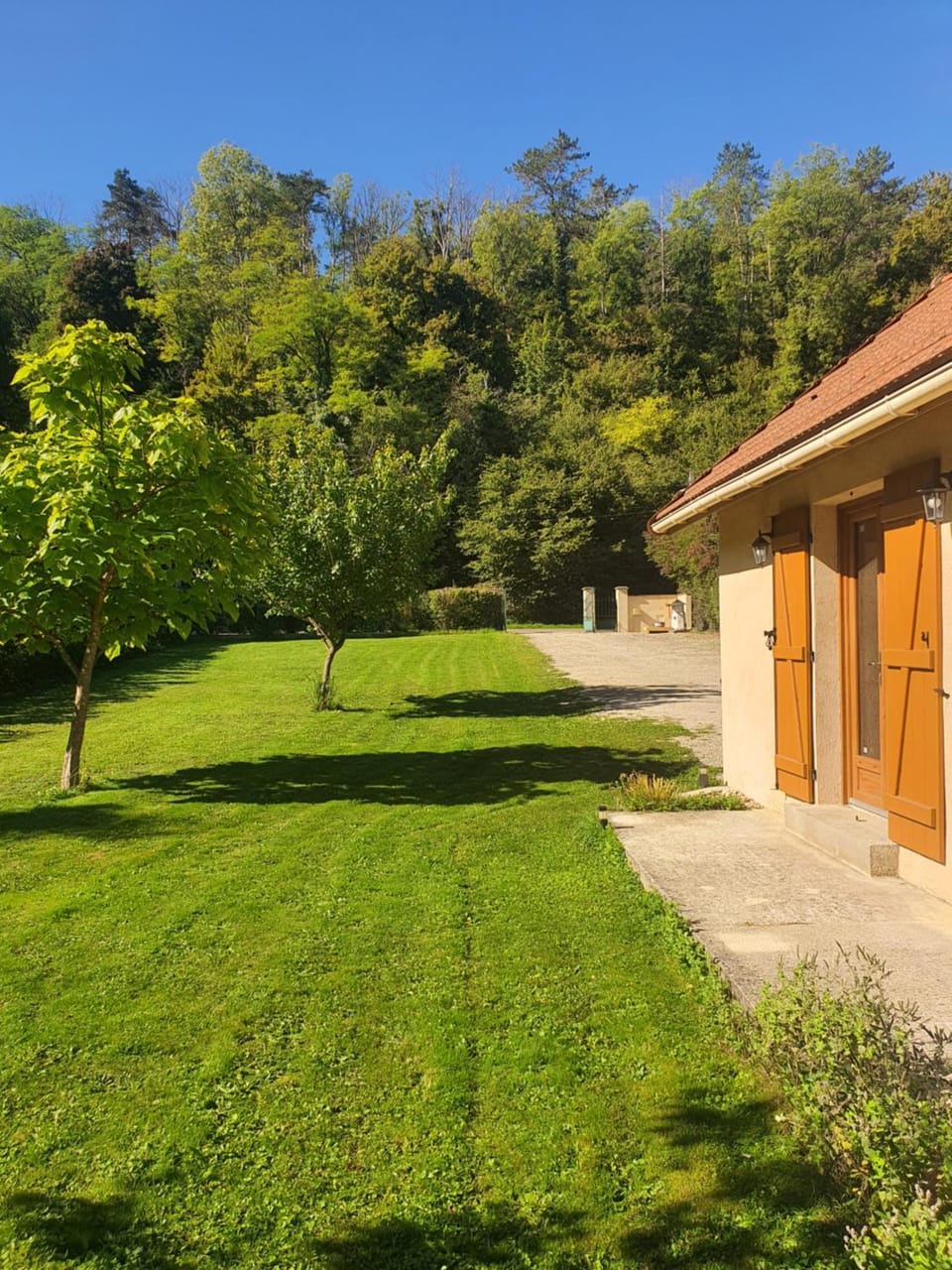 Garden view
