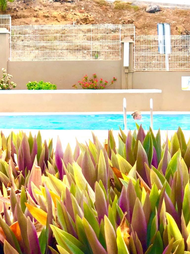 Day, Garden, Swimming pool