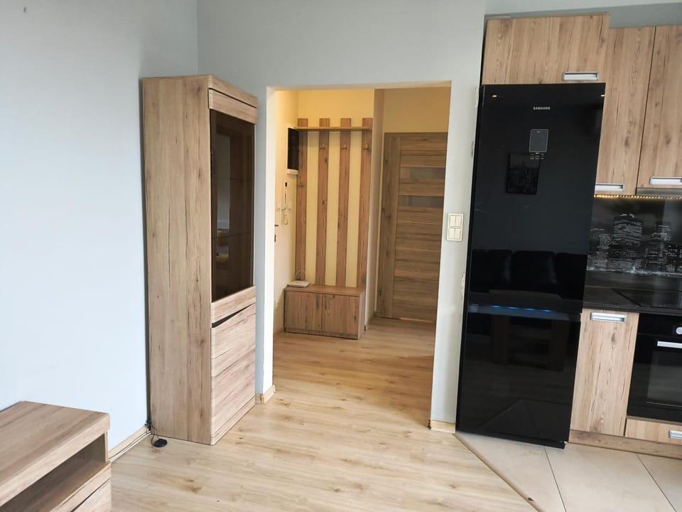Kitchen or kitchenette, oven, stove, wardrobe