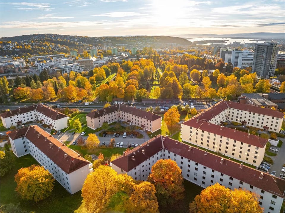 Property building, Day, Bird's eye view, Street view