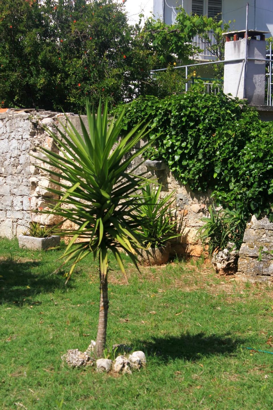 Location, children, Family