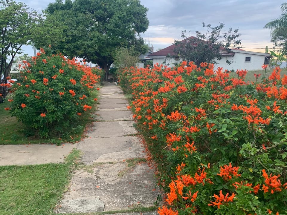 Garden Beach Resort Apartment hotel in Montego Bay