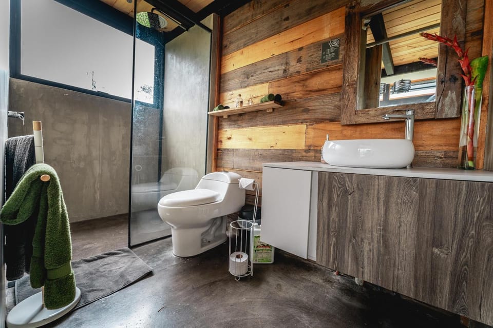 Shower, Toilet, Bathroom, towels