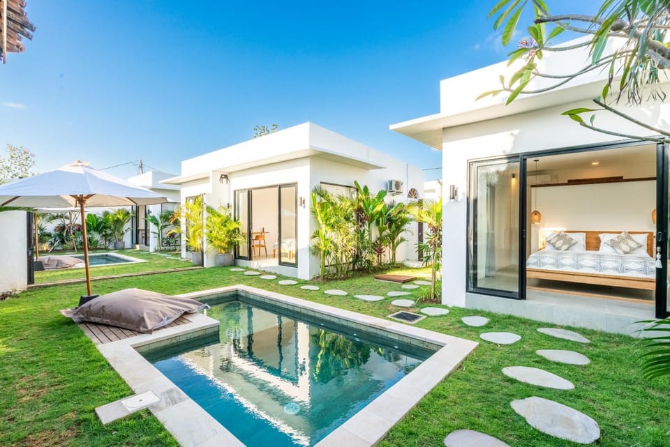 Garden, Garden view, Pool view, Swimming pool, sunbed