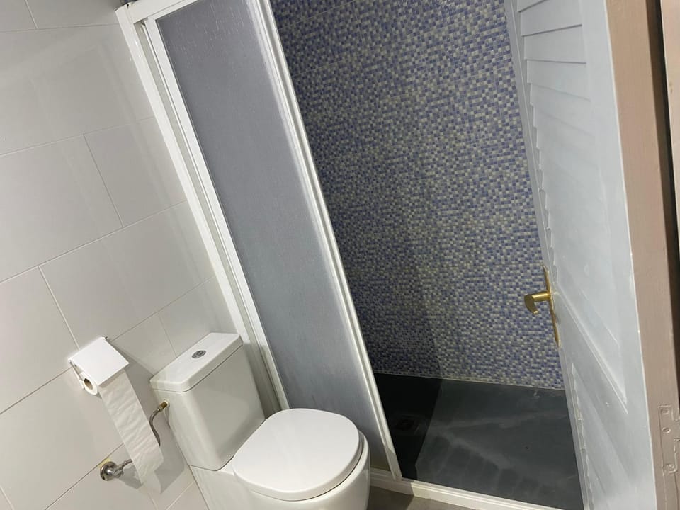 Shower, Toilet, Bathroom, towels