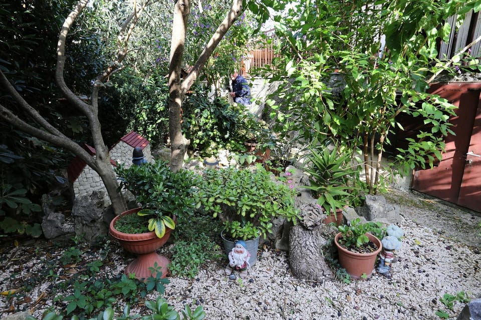 Location, children, Family