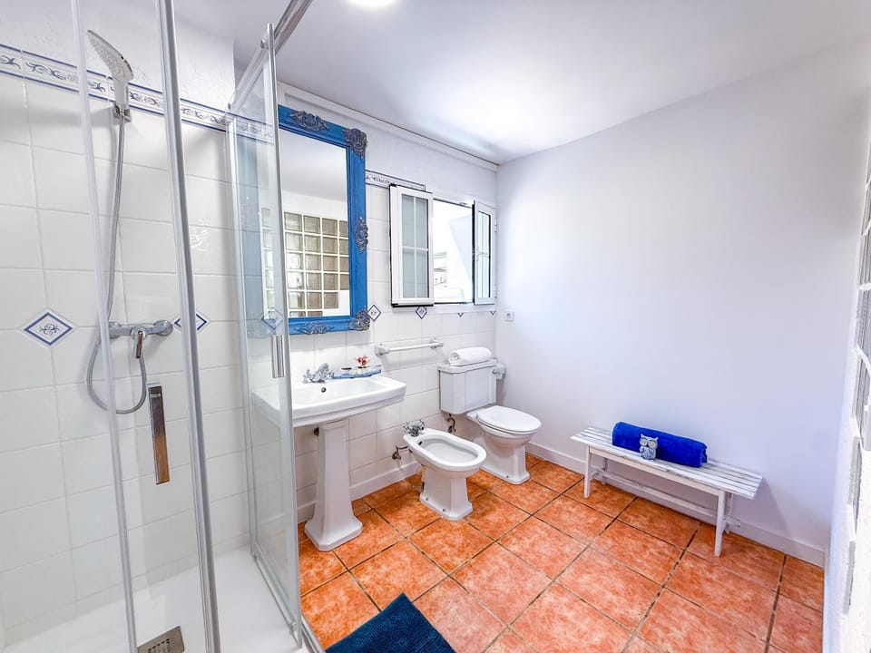 Shower, Toilet, bidet, towels