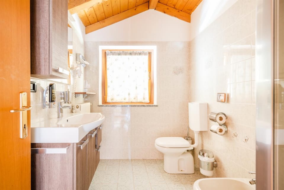 Shower, Toilet, Bathroom, bidet