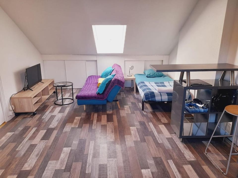 Chez Dogoré Apartment in Reims