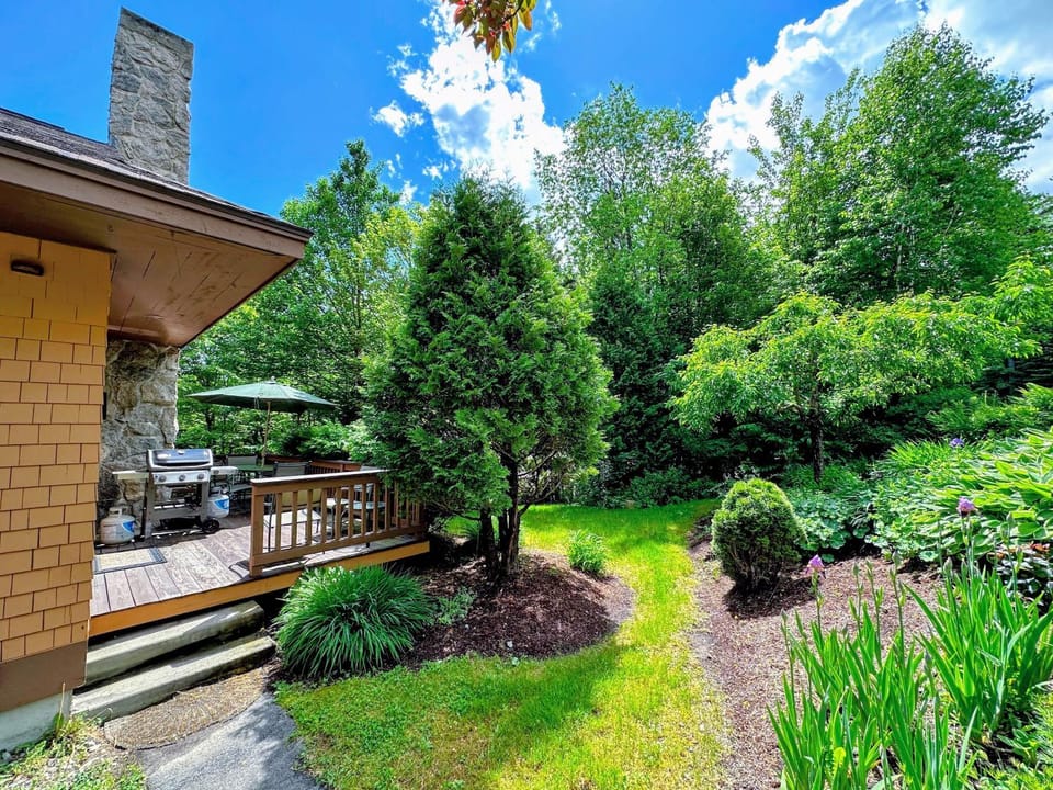FC17 Stylishly renovated Forest Cottage walk to ski trails wifi cable ping pong AC House in Carroll