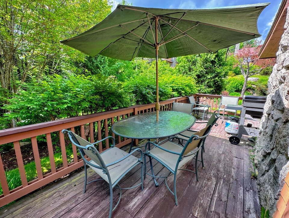 FC17 Stylishly renovated Forest Cottage walk to ski trails wifi cable ping pong AC House in Carroll