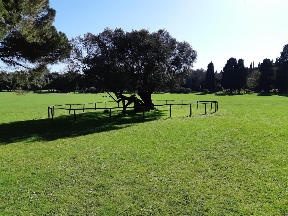 Golfcourse