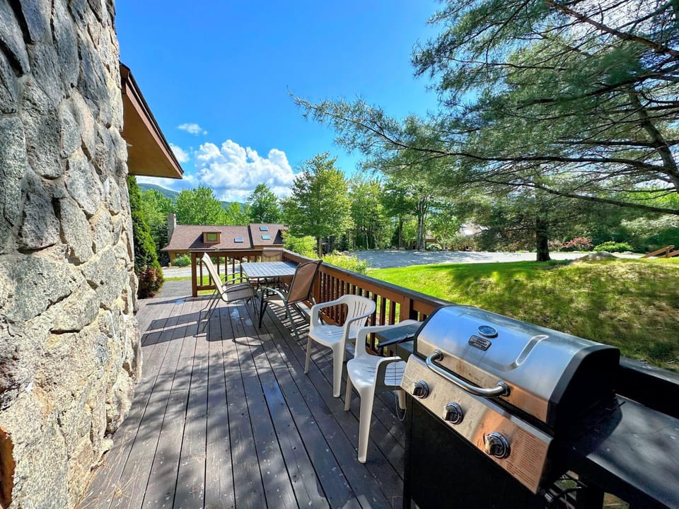 FC44 Renovated 3bed 3bath Forest Cottage AC views yard fast wifi Walk to skiing House in Carroll