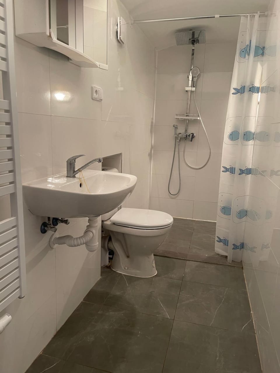Shower, Toilet