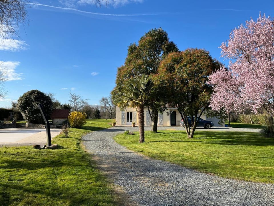 Natural landscape, Garden, Garden view