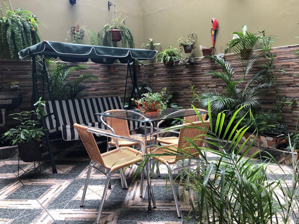 Patio, Garden