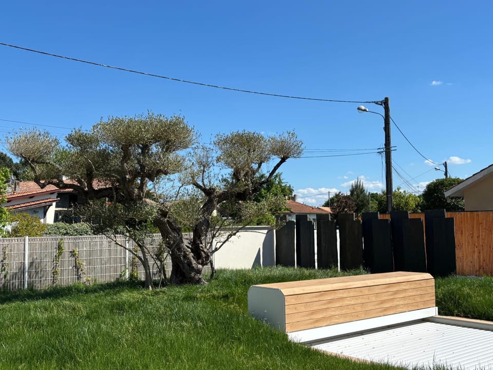 Spring, Day, Garden