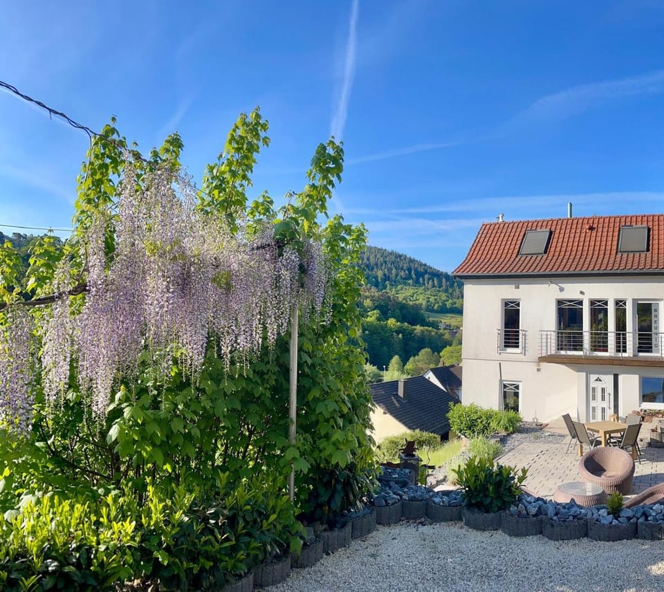 Dorfperle Apartment in Hesse