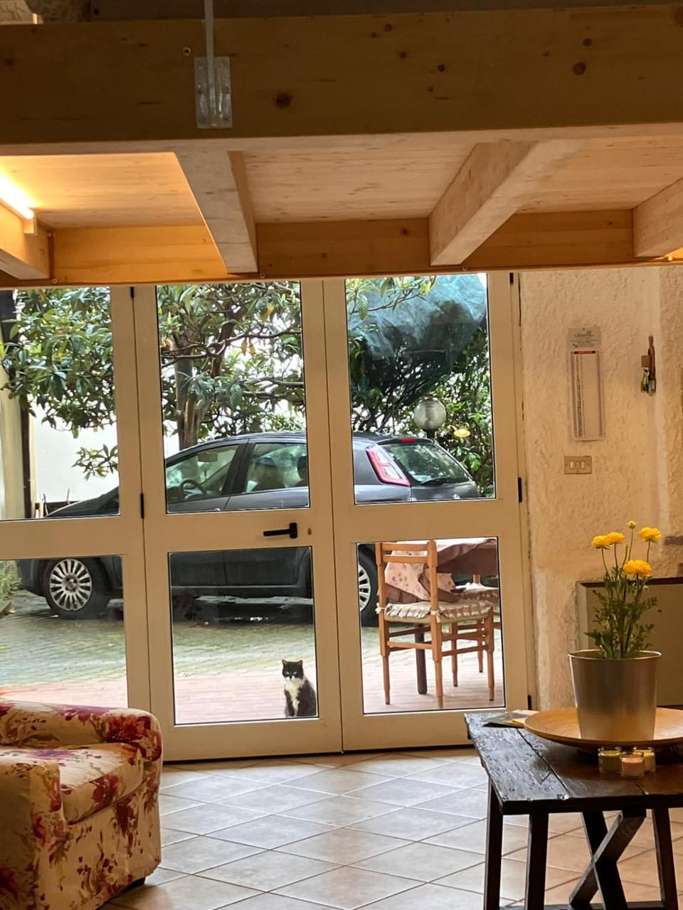 Garden view